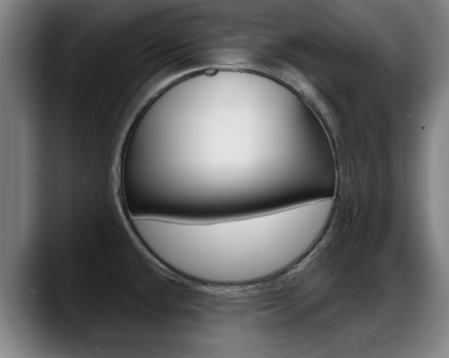 X0000089421432200706150955