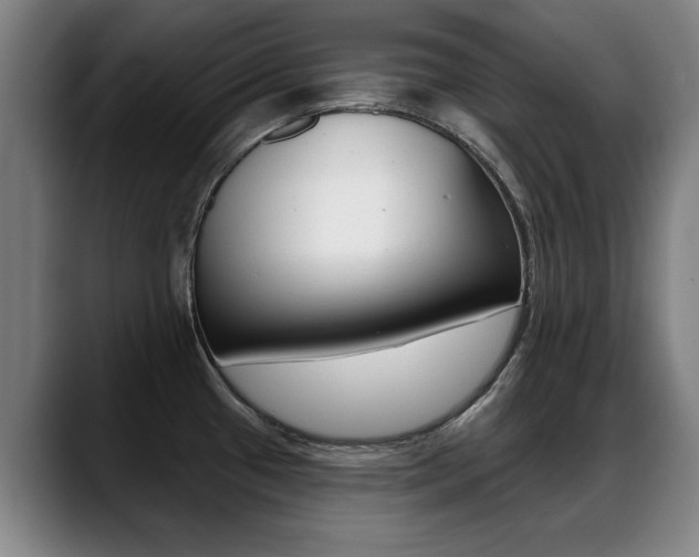 X0000089421433200706150955
