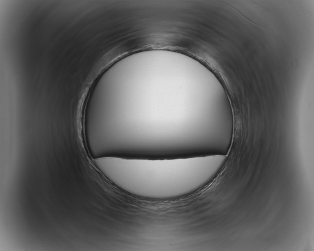 X0000089421435200706150955