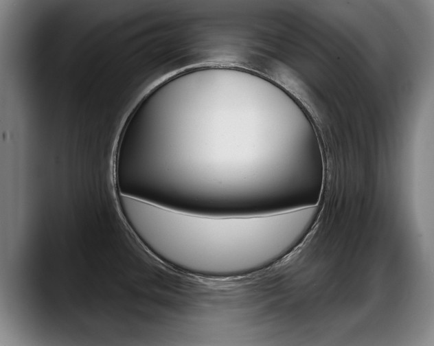X0000089421436200706150955