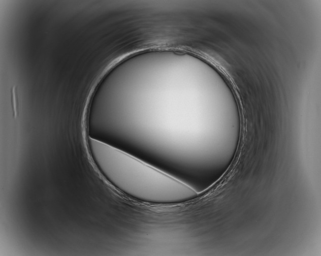 X0000089421440200706150955