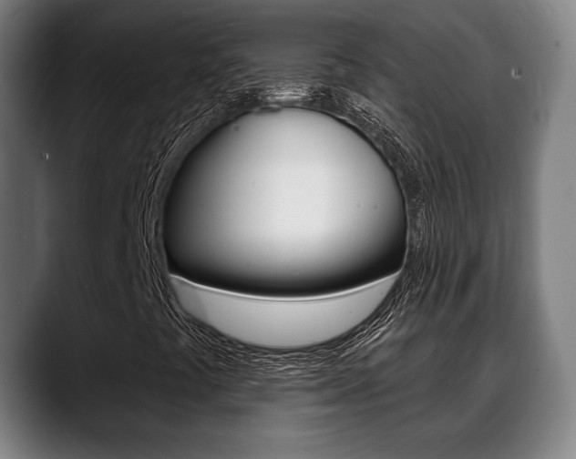 X0000089421441200706150955