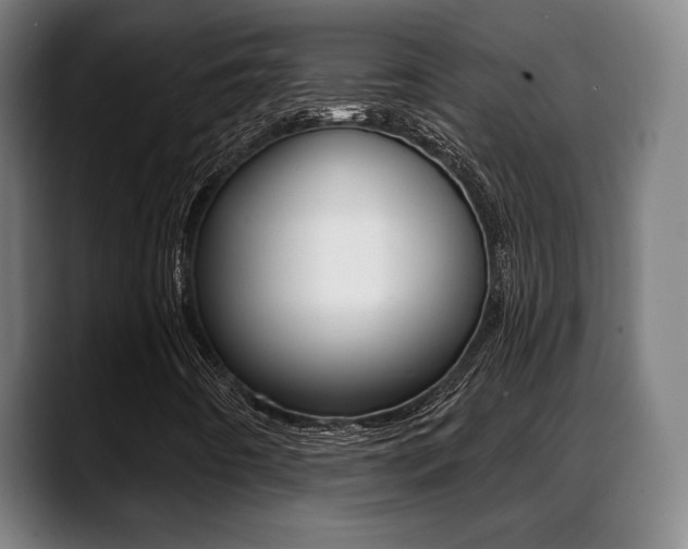 X0000089421442200706150955