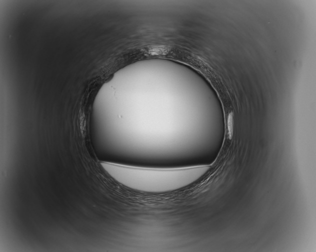 X0000089421443200706150955