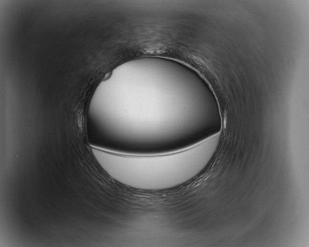 X0000089421444200706150955