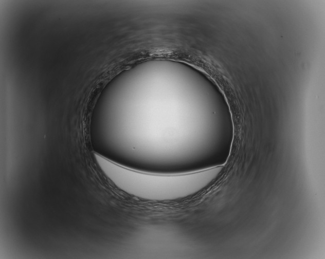 X0000089421445200706150955
