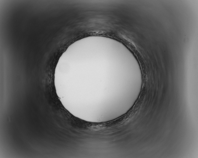 X0000089421447200706150955