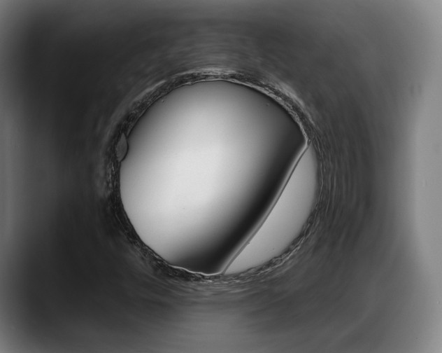 X0000089421448200706150955
