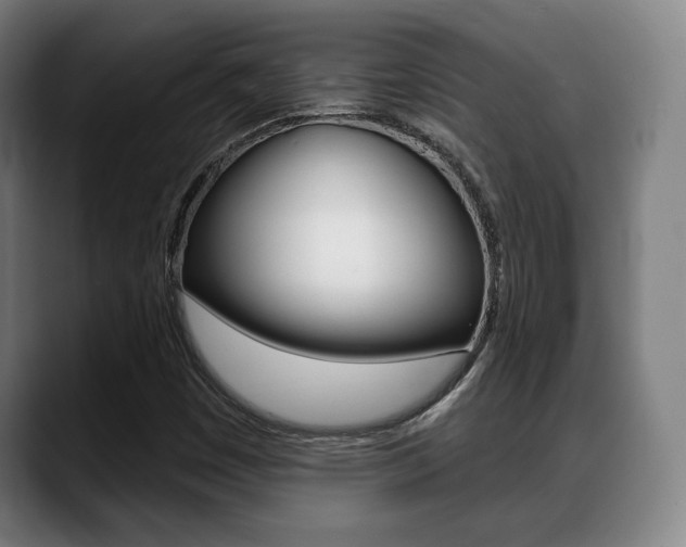 X0000089421449200706150955