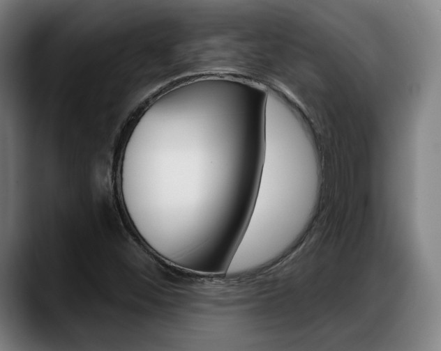 X0000089421452200706150955
