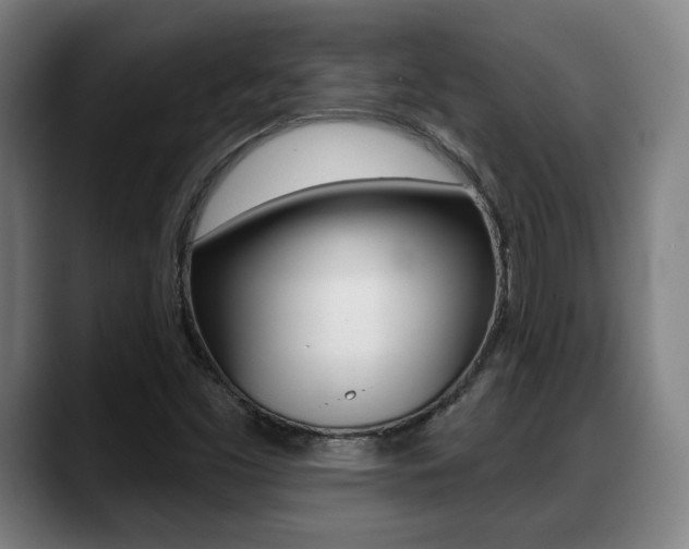 X0000089421453200706150955