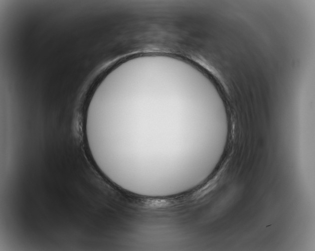 X0000089421454200706150955