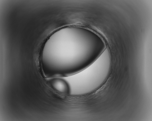 X0000089421455200706150954