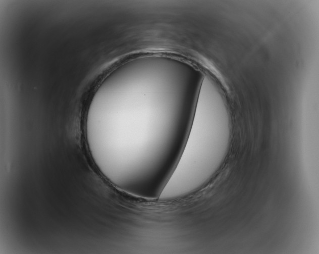 X0000089421456200706150954