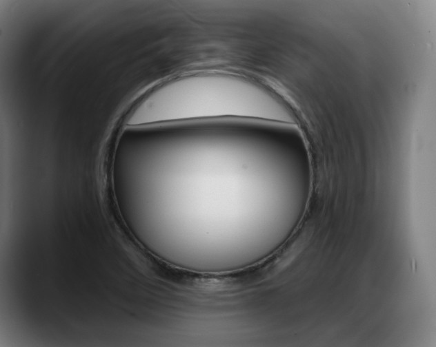X0000089421458200706150954