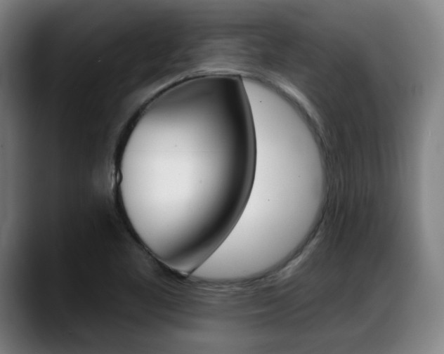 X0000089421461200706150954