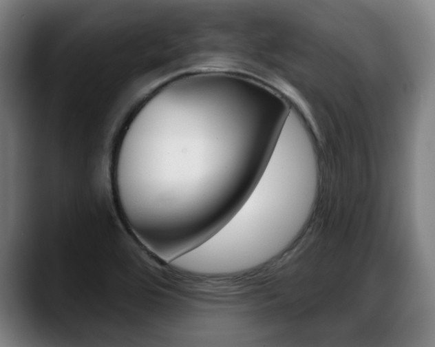 X0000089421464200706150954