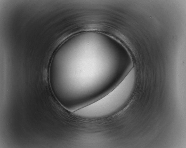 X0000089421465200706150954