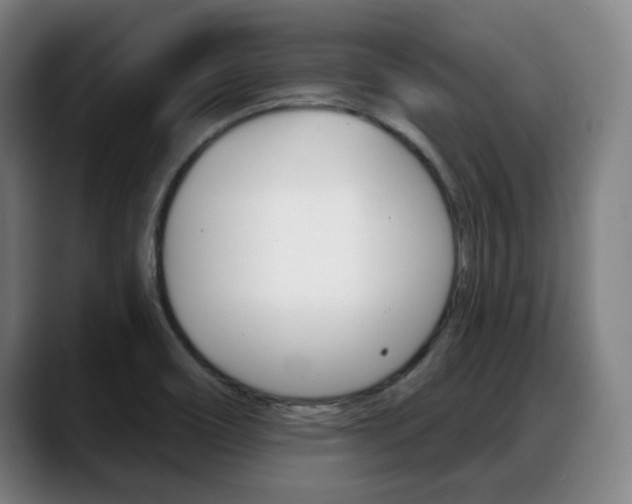 X0000089421466200706150954