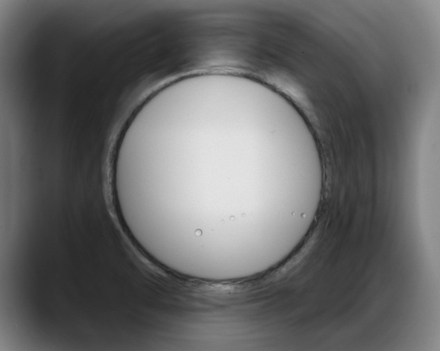 X0000089421470200706150954