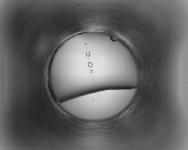 X0000089421471200706150954