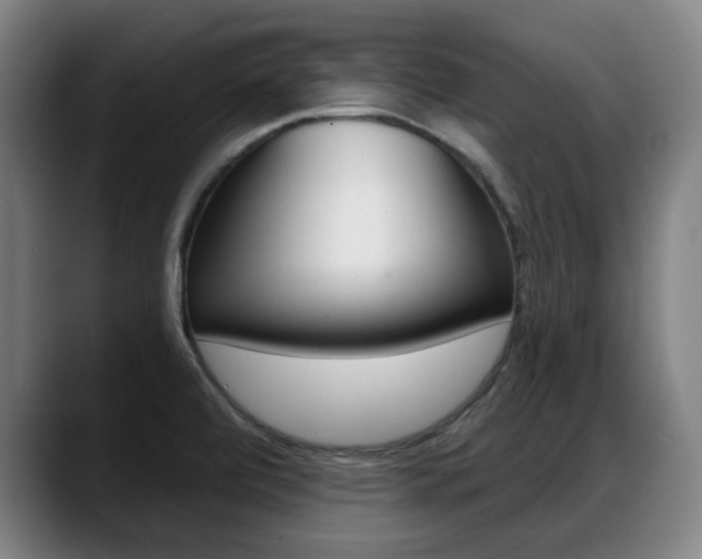 X0000089421472200706150954