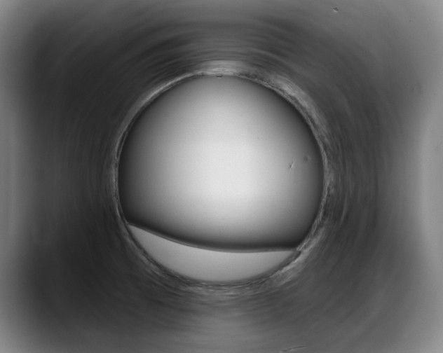 X0000089421473200706150954