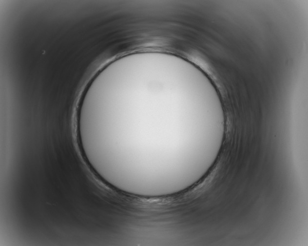X0000089421474200706150954