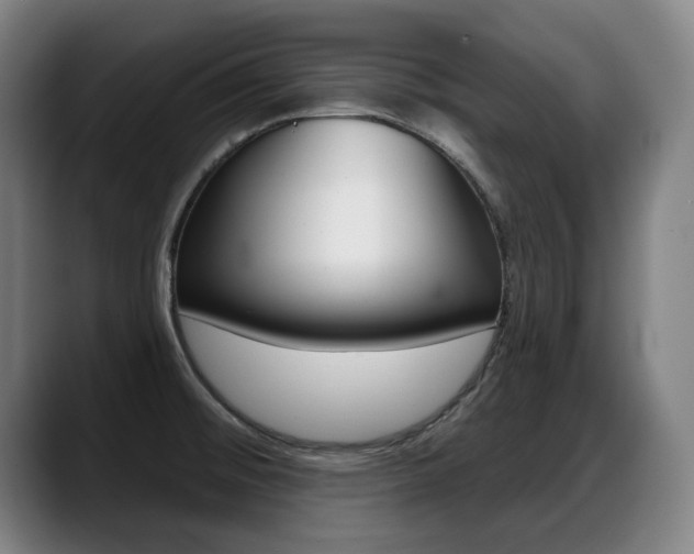 X0000089421476200706150954