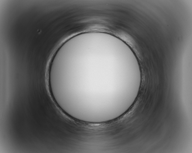 X0000089421478200706150954