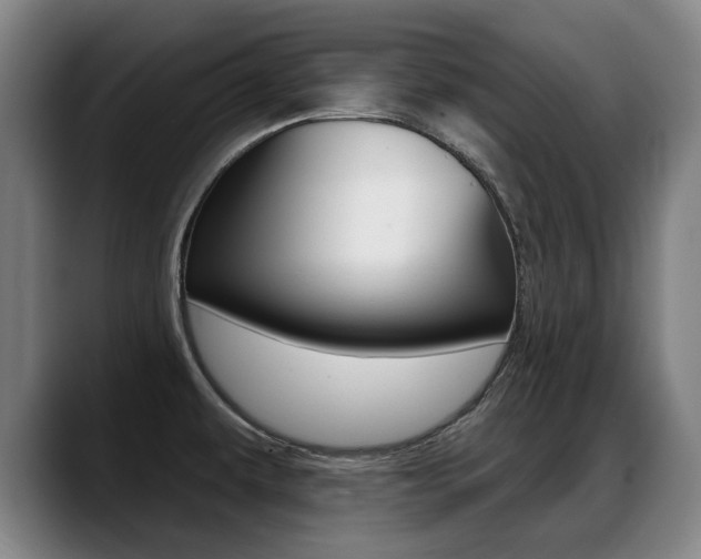X0000089421479200706150954