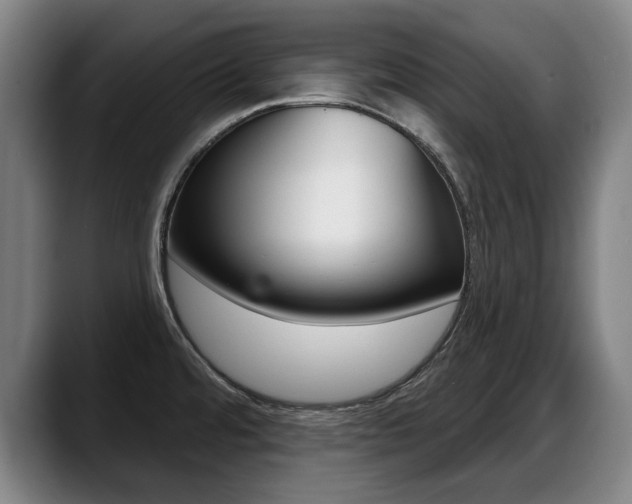 X0000089421480200706150954