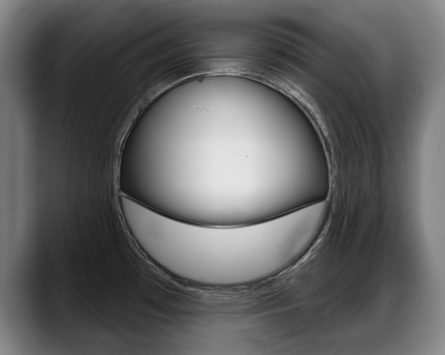 X0000089421481200706150954