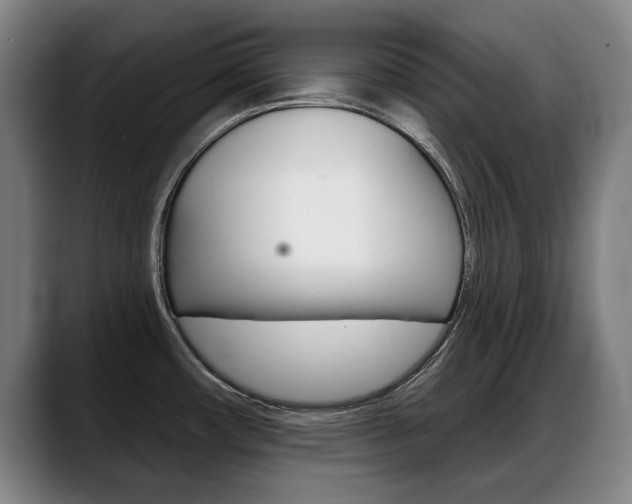 X0000089421482200706150954