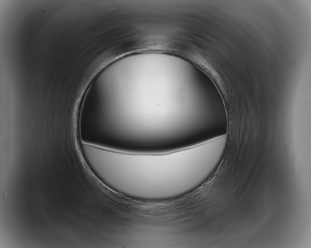 X0000089421483200706150954