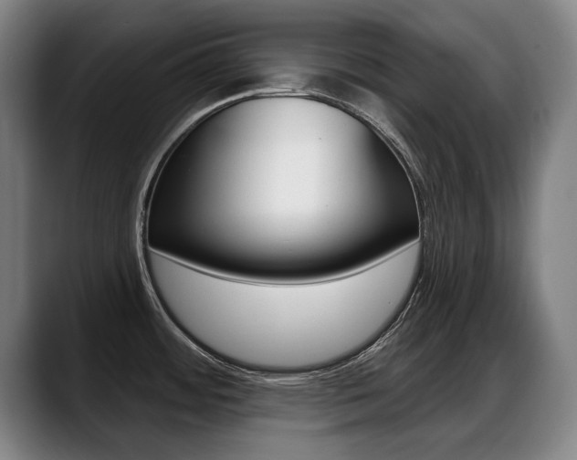 X0000089421484200706150954