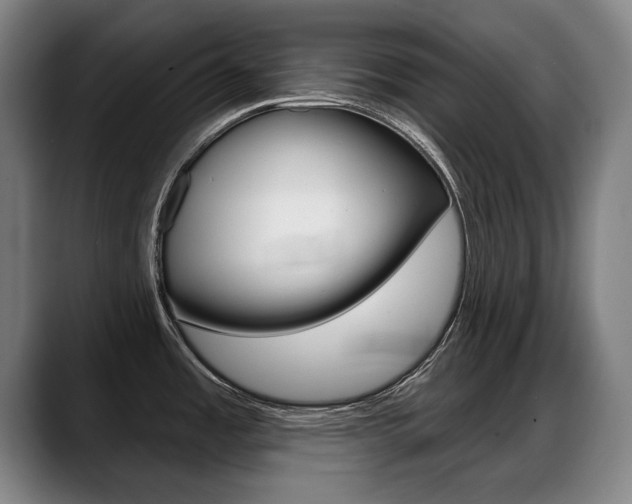 X0000089421485200706150954