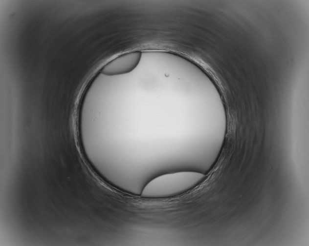 X0000089421486200706150954
