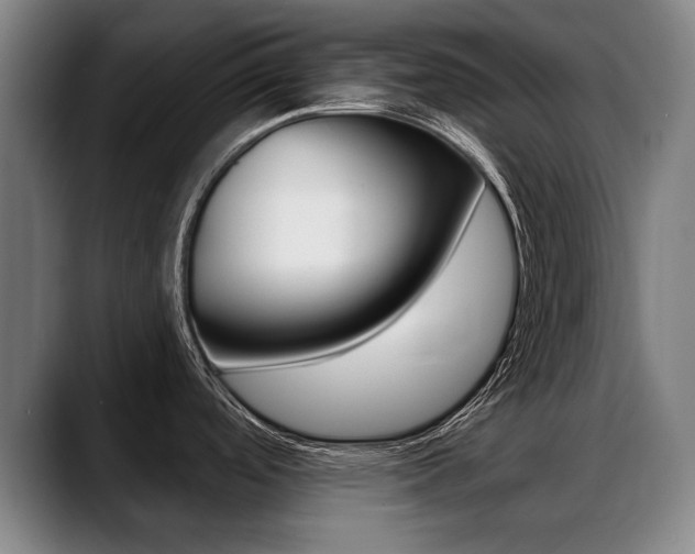 X0000089421488200706150954