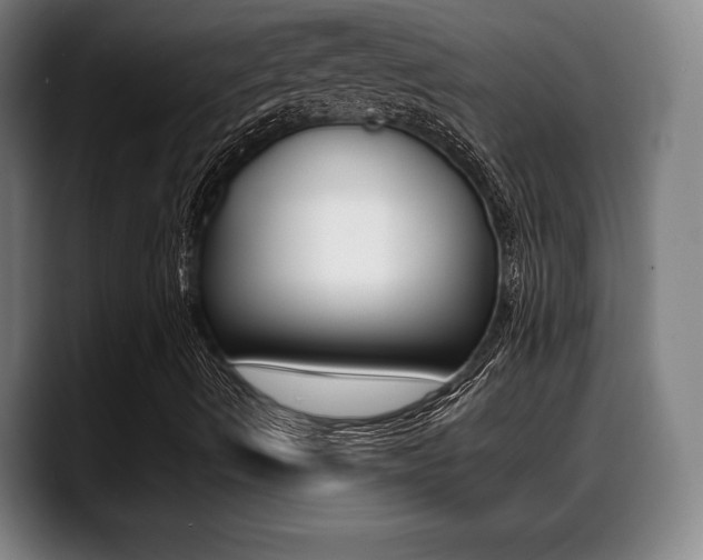 X0000089421490200706150953