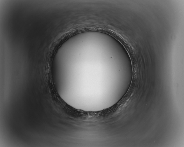 X0000089421494200706150953
