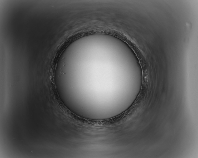 X0000089421495200706150953