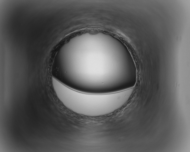 X0000089421496200706150953