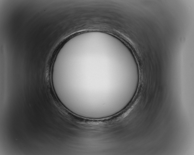 X0000089421498200706150953