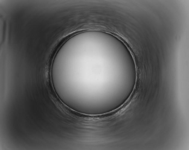 X0000089421499200706150953