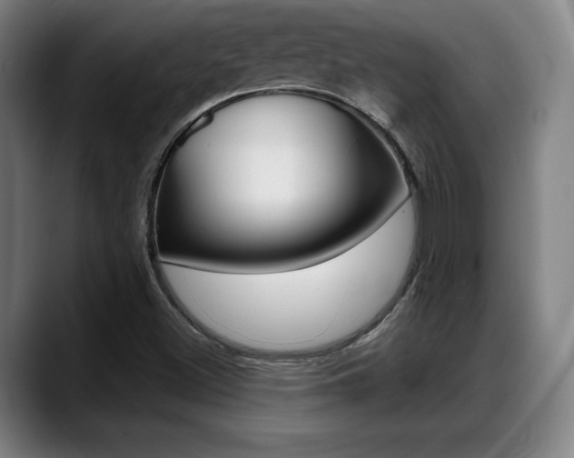 X0000089421500200706150954