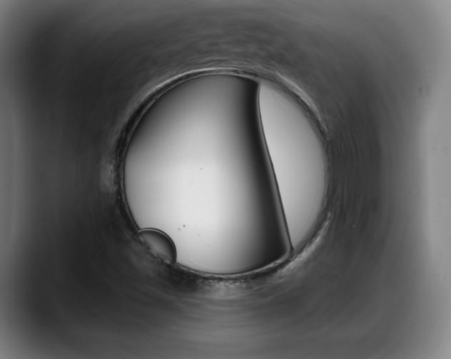 X0000089421501200706150954