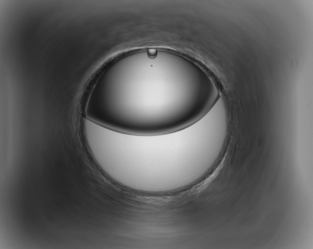 X0000089421502200706150954