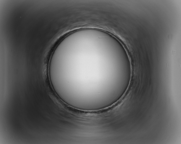 X0000089421503200706150954