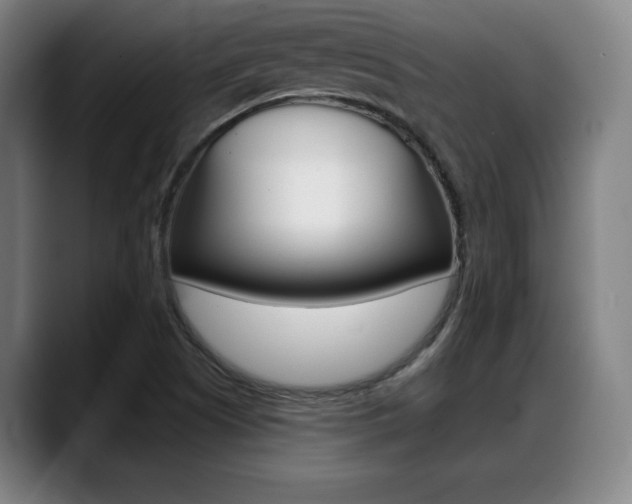 X0000089421505200706150954